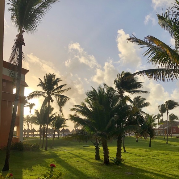 Meet your Posher, Jennifer - Picture 1 of 1